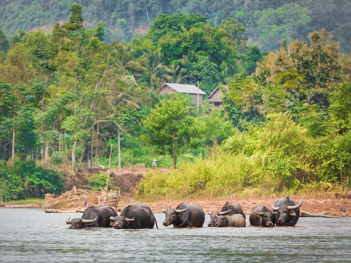Muang La Lodge Bagian luar foto