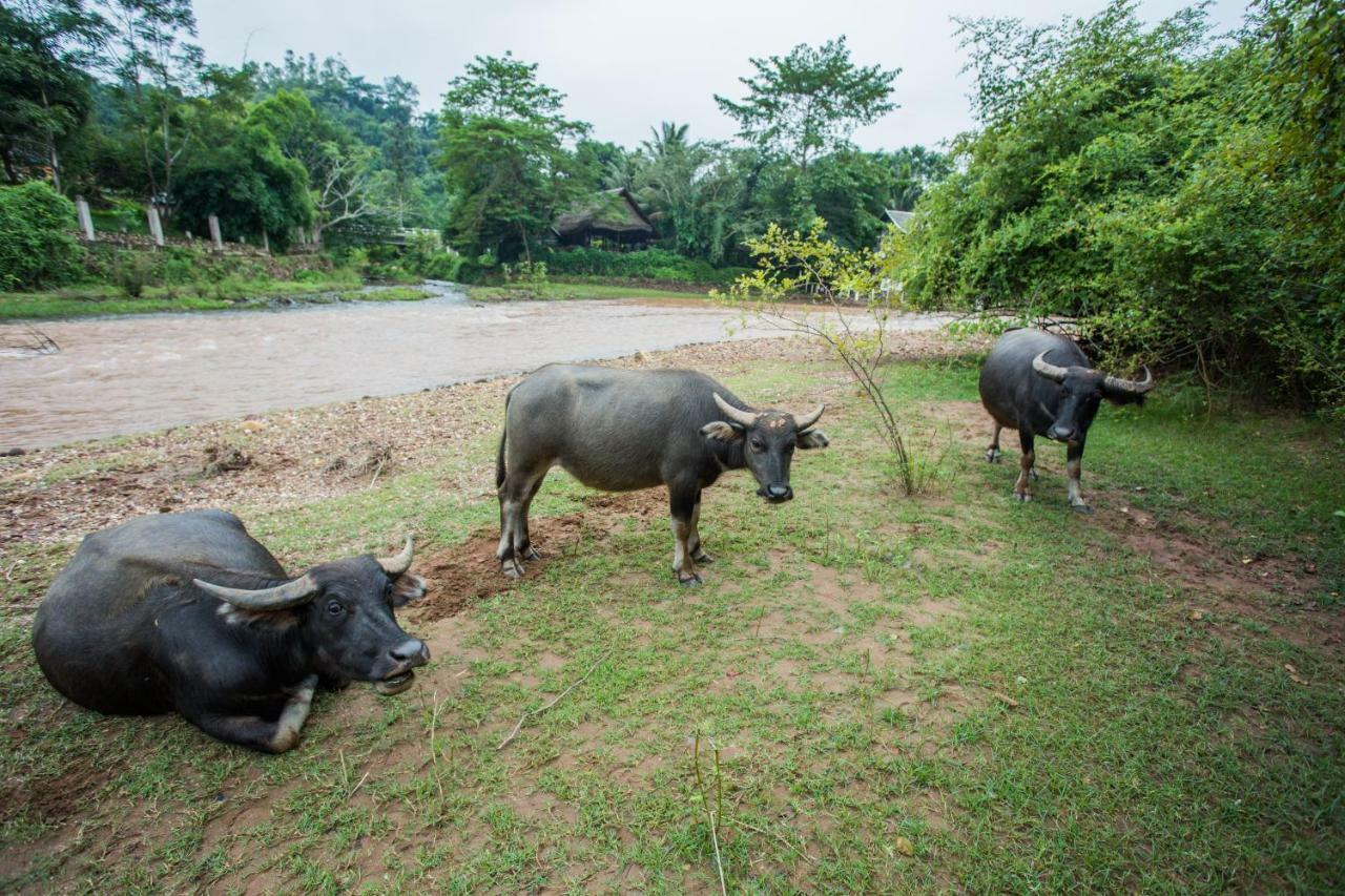 Muang La Lodge Bagian luar foto